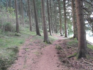 Appartement Wildemann Environnement 29