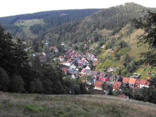 Apartment Wildemann Umgebung 30