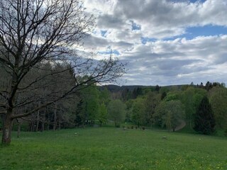 Apartment Wildemann Umgebung 30