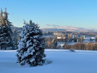 Apartment Wildemann Environment 33