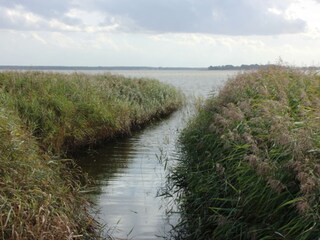 Schilfbewachsener Bodden
