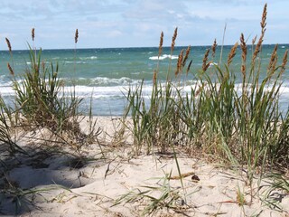 Am Weststrand