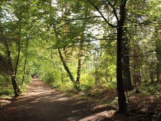 Darsswald