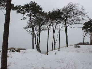 Winter am Weststrand
