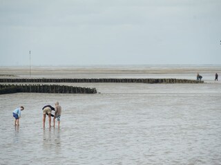Ferienhaus Wesselburenerkoog Umgebung 19