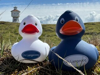 Ferienwohnung Langeoog Außenaufnahme 14