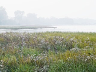 Ferienwohnung Wohlenberg Umgebung 13