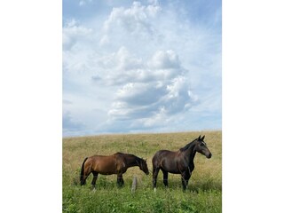 Ferienwohnung Wohlenberg Umgebung 11