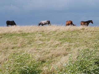 Ferienwohnung Wohlenberg Umgebung 14