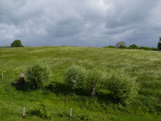 Ferienwohnung Wohlenberg Umgebung 15