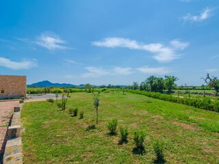 Villa Manacor Buitenaudio-opname 10