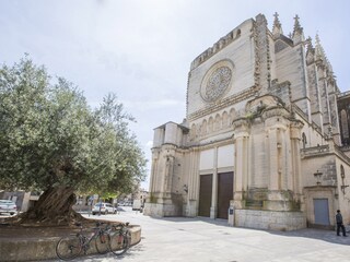 Villa Manacor Entorno 34