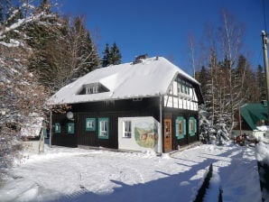 Ferienhaus Forsthaus Grünheide - Auerbach im Vogtland - image1