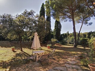 Casa per le vacanze Collesalvetti Ambiente 34