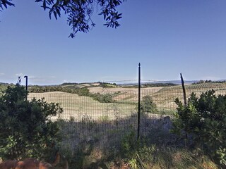 Casa per le vacanze Collesalvetti Ambiente 34