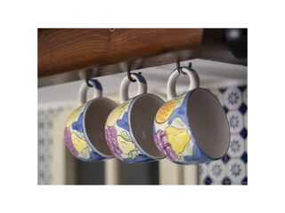 Casa per le vacanze Collesalvetti Caratteristiche 24