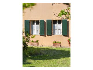 Casa per le vacanze Collesalvetti Registrazione all'aperto 4