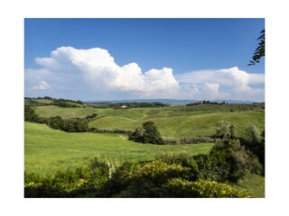 Casa per le vacanze Collesalvetti Registrazione all'aperto 6