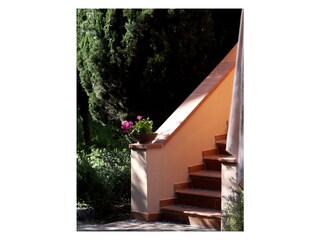 Casa per le vacanze Collesalvetti Registrazione all'aperto 8