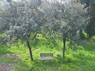 Casa per le vacanze Collesalvetti Ambiente 32