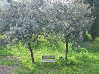 Casa per le vacanze Collesalvetti Ambiente 33