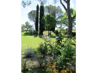 Vakantiehuis Collesalvetti Omgeving 32