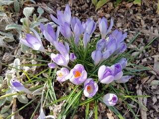 Der Frühling hält Einzug