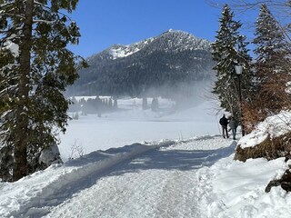 Winter am Spitzingsee