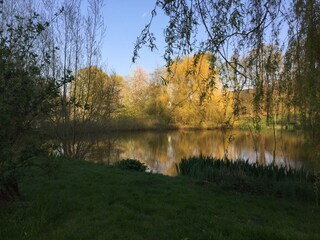 Frankenberger Teich