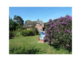 Ferienhaus Nebel Außenaufnahme 19