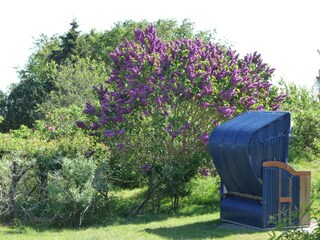 Ferienhaus Nebel Außenaufnahme 5