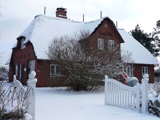 Ferienhaus Nebel Außenaufnahme 4