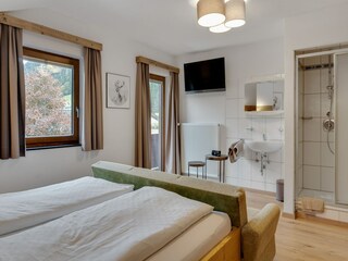Apartamento Kleinarl Características 21