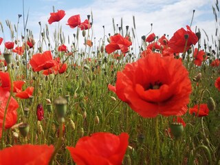 Casa per le vacanze Putbus Ambiente 35