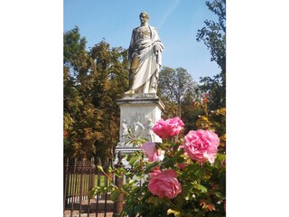 Casa per le vacanze Putbus Ambiente 37