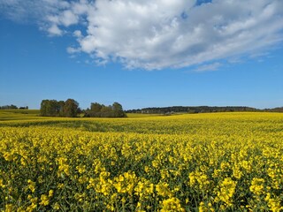 Casa per le vacanze Putbus Registrazione all'aperto 14