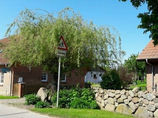 Straßenansicht im Sommer