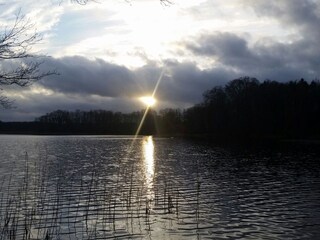 Waldseen 3 km entfernt