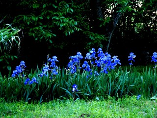 Casa per le vacanze Ferrals-les-Corbières Ambiente 25