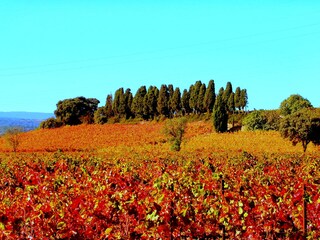 Vakantiehuis Ferrals-les-Corbières Omgeving 20