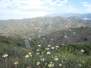 Villa Sayalonga Ambiente 33