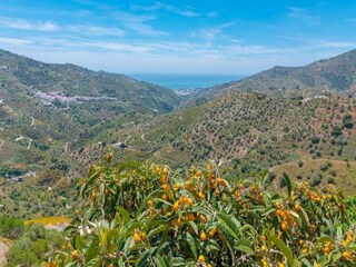 Villa Sayalonga Entorno 32