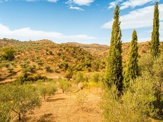 Holiday house Guaro Environment 34