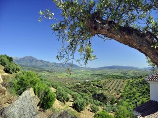 Casa per le vacanze Guaro Ambiente 37