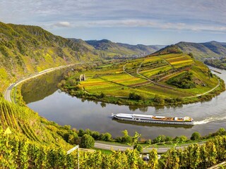 Appartamento Ediger-Eller Ambiente 13