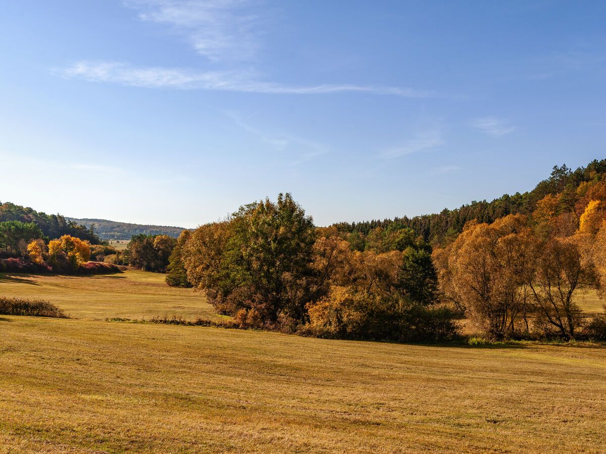 Natur pur