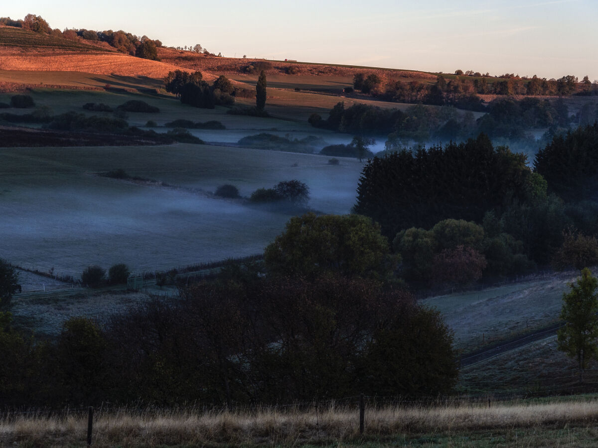 füh morgens in Waldkönigen