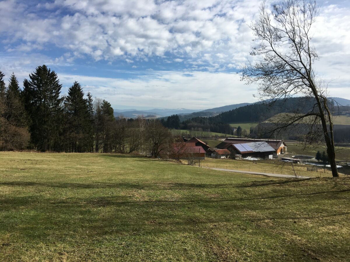 Ferienhaus Konzell Außenaufnahme 5