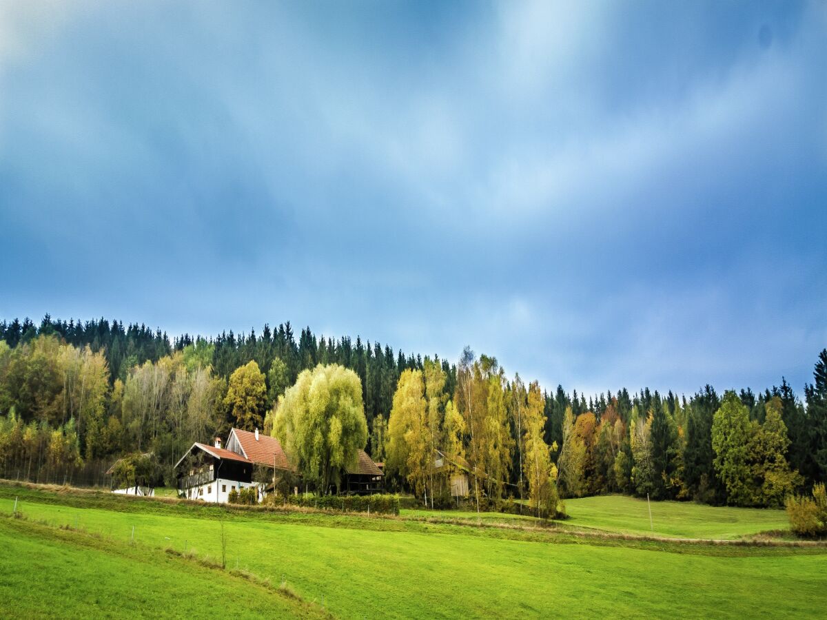 Ferienhaus Konzell Umgebung 22