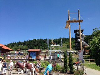 Ferienhaus Konzell Umgebung 26